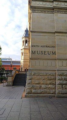 South Australian Museum SouthAustralianMuseum.jpg