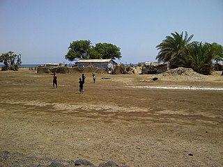<span class="mw-page-title-main">Eritrean coastal desert</span> Ecoregion in northeastern Africa