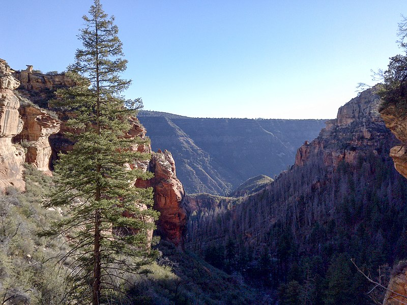 File:Sterling Pass Trail To Vultee Arch Trail, Sedona, Arizona, Coconino County - panoramio (48).jpg