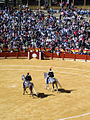 Alguacilillos in der Arena von Alicante