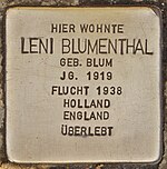 Stumbling block for Leni Blumenthal (Heidelberg) .jpg