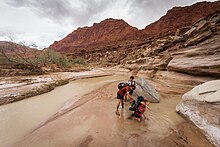 A group of hikers encountering quicksand on the banks of the Paria River, Utah Stuck in Quicksand (13944309974).jpg