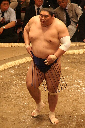 Tamanoshima in May 2009. Sumo May09 Tamanoshima.jpg