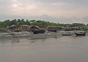 Sundarbans: Nationalpark und Naturschutzgebiete, Ökologie, Einfluss des Menschen