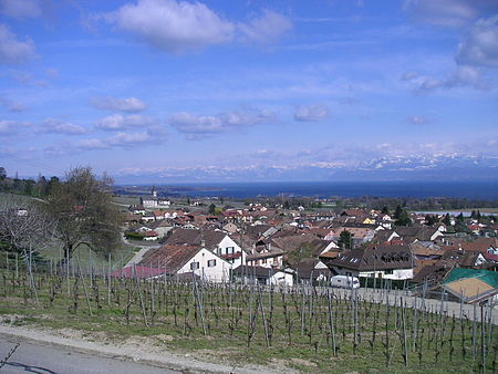 Swiss Gilly village