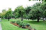 Taynitsky Garden-6.jpg