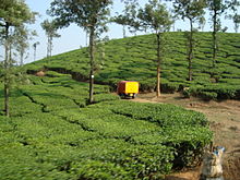 travel essay of wayanad in english