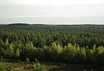 Vorschaubild für Waldamt Sebaldi