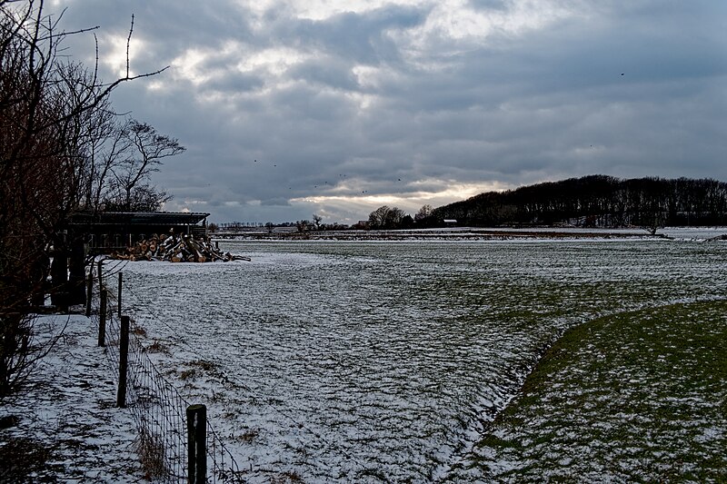 File:Texel - Hoge Berg - Skillepaadje - View West.jpg