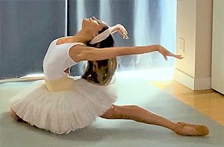 <span class="mw-page-title-main">Tina Pereira</span> Trinidadian-Canadian ballet dancer and designer