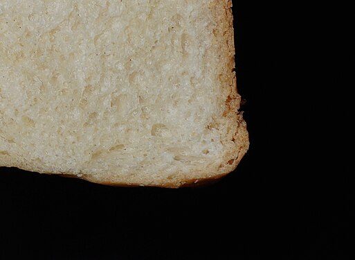 Close up of toast bread on neutral background