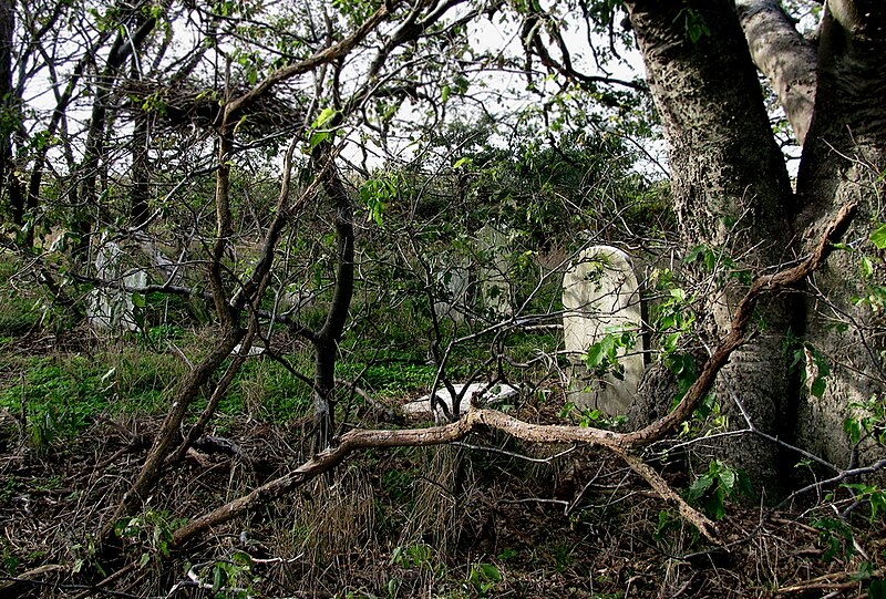 File:Tombstone Holland Island.jpg