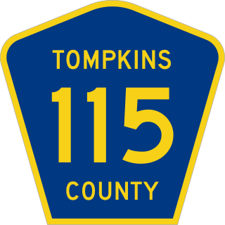 <span class="mw-page-title-main">County Route 115 (Tompkins County, New York)</span> County route in New York