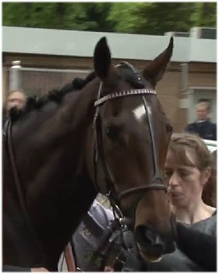 <span class="mw-page-title-main">2013 Prix de l'Arc de Triomphe</span> Horse race