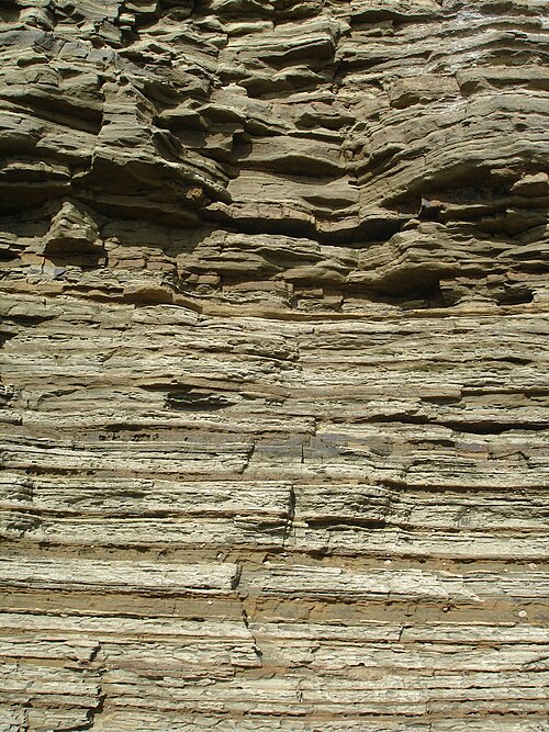 Turbidite interbedded with finegrained dusky-yellow sandstone and gray clay shale that occur in graded beds, Point Loma Formation, California.