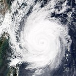 Typhoon Meari 2004.jpg
