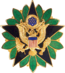 Distintivo de Identificação de Estado-Maior do Exército dos Estados Unidos.png