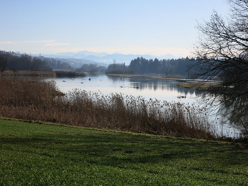 File:Unterlunkhofen Flachsee.JPG