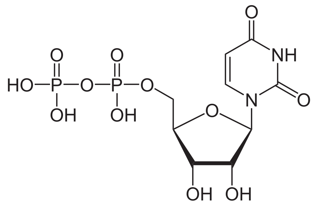 尿苷二磷酸