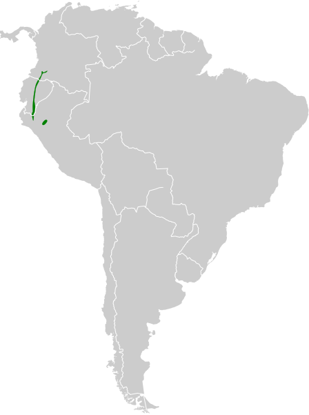 File:Urosticte ruficrissa map.svg