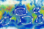 Hình thu nhỏ cho Vòng hải lưu Bắc Thái Bình Dương