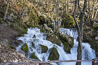 View of Lisine waterfalls in Serbia