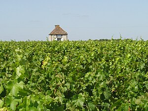 Habiter à Pocé-sur-Cisse