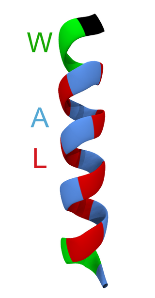 <span class="mw-page-title-main">WALP peptide</span> Class of peptides used for studying lipid membranes