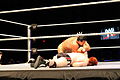 WWE Smackdown IMG 0337 (11705086124).jpg