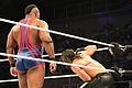 WWE Smackdown IMG 8560 (15169968088).jpg
