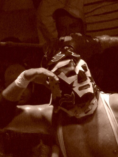 Close up of Dr. Wagner Jr. posing after a match