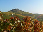 Burg Scheuerberg