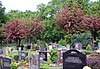 Weixdorfer Friedhof.jpg