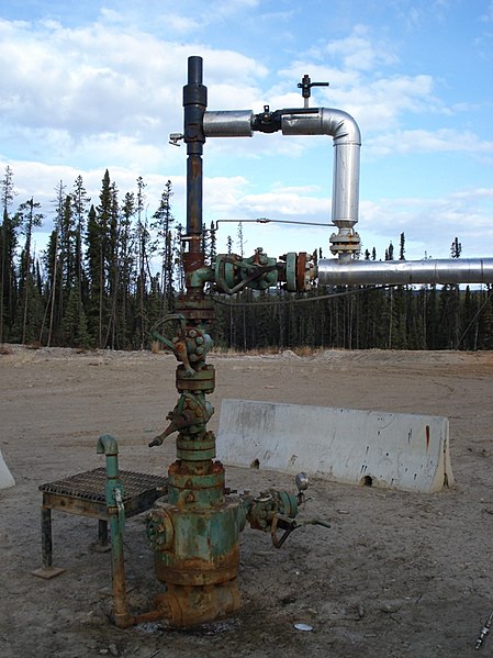 File:Wellhead-plunger lift.jpg