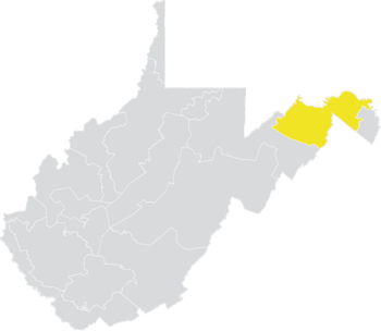 West Virginia Senate Kabupaten 15 (2010).png