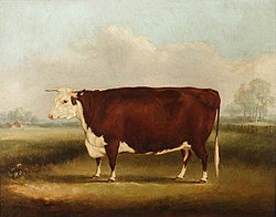 File:William Henry Davis (1786-1865) - Prize Cow and Calf - 609118