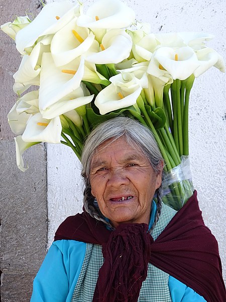 File:Woman Flower Vendor - Valle de Bravo - Mexico (16487480391).jpg