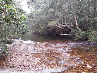 Yadboro River