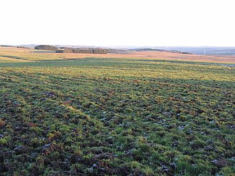 The site of Turret 31B (The site of) Turret 31b on Hadrian's Wall near Carraw Farm - geograph.org.uk - 1075166.jpg