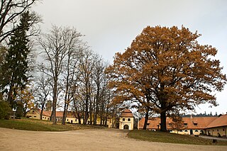 Šlokenbeka Castle