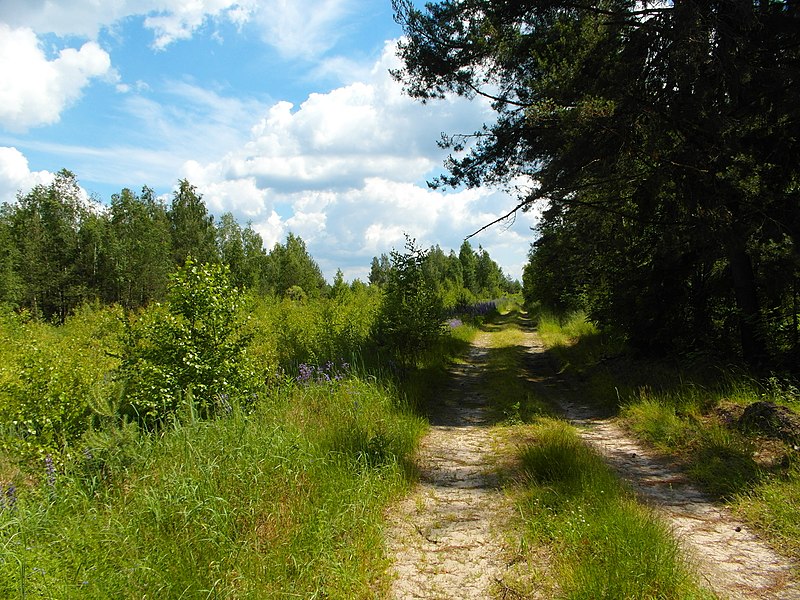 File:Между с-т Русь и Селиванихой 2013 - panoramio (51).jpg