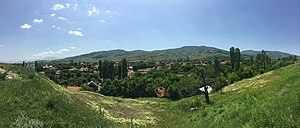 Панорама на Долно Српци 2.jpg