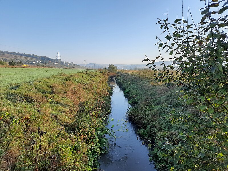 File:Річка Нараївка біля села Куряни.jpg