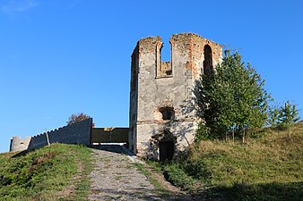 Zamek Czerlenkowskich w Siedliszczach