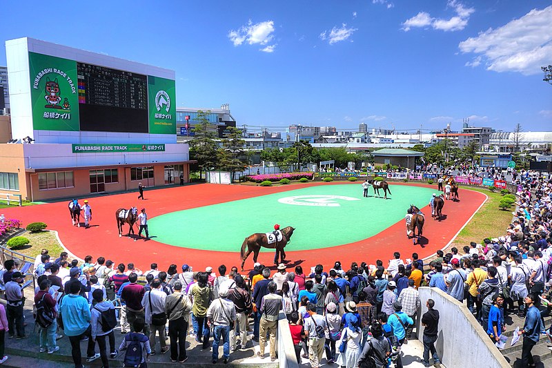 File:船橋競馬場のパドック.jpg