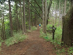 上野原市 軍刀利神社: 概要, 歴史, 境内