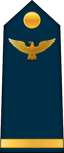 File:10.CAAF-2LT.svg