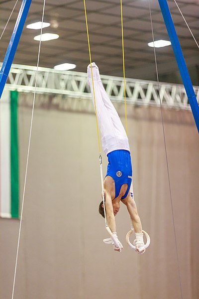 File:15th Austrian Future Cup 2018-11-24 Massimo Cerfogli (Norman Seibert) - 10912.jpg