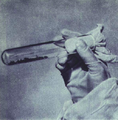 1952-03 朝鲜战争美军投放带有细菌的跳蚤.png