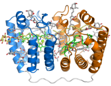 1ppr Peridinin Chlorophyll Protein.png